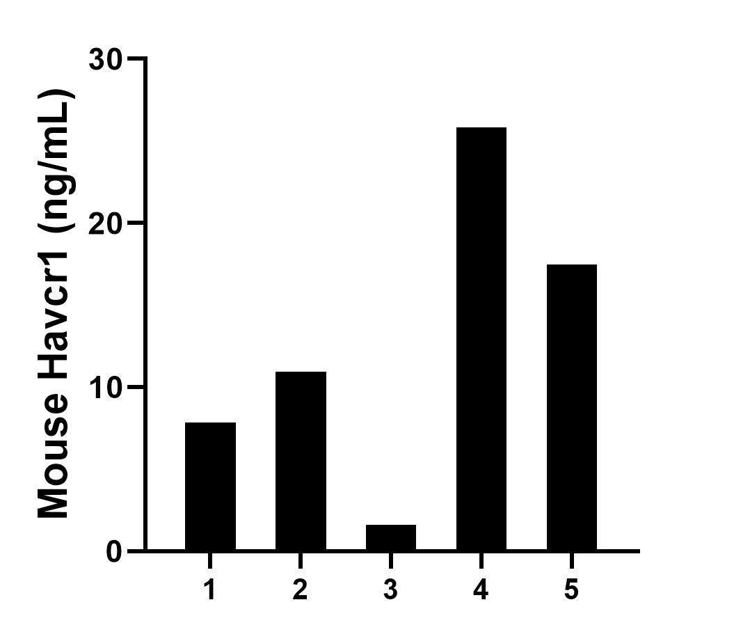 Urine of five mice was measured. The Havcr1 concentration of detected samples was determined to be 12.73 ng/mL with a range of  1.61-25.85 ng/mL.